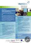 Member-Poster